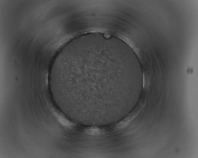 X0000091550253200708241801