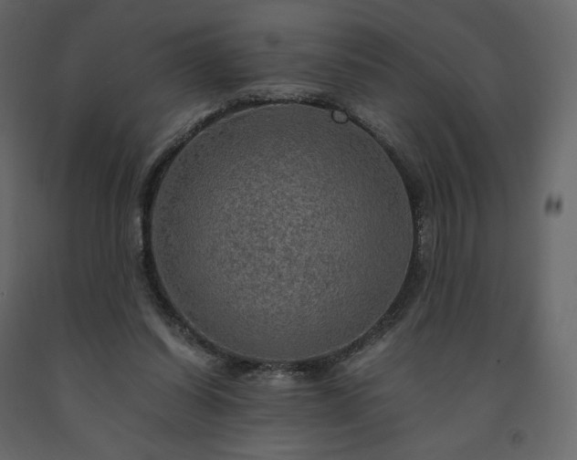 X0000091550254200708241801