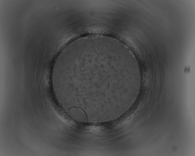 X0000091550255200708241801