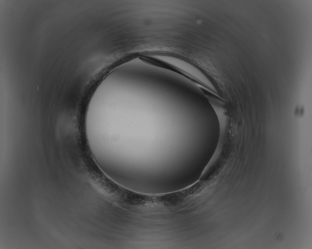 X0000091550256200708241801