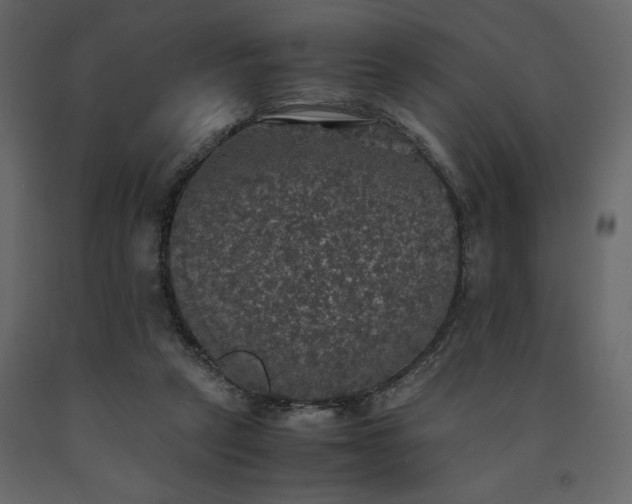 X0000091550257200708241801