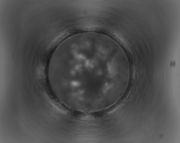 X0000091550258200708241801