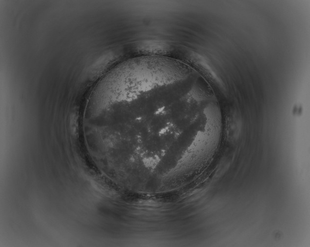 X0000091550259200708241801