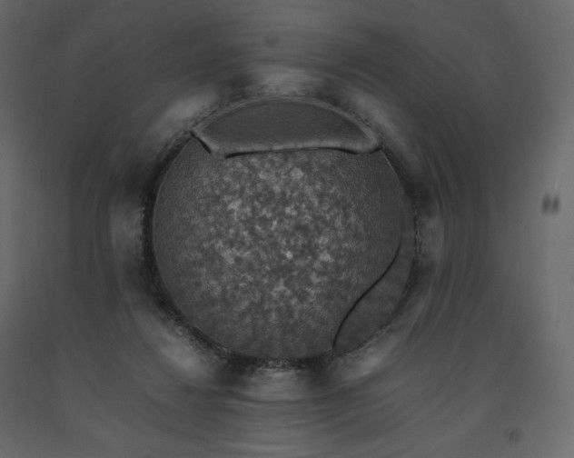 X0000091550260200708241801