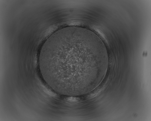 X0000091550261200708241801