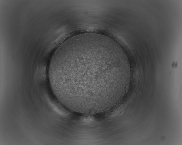 X0000091550262200708241801