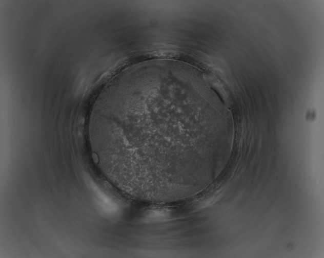 X0000091550263200708241801