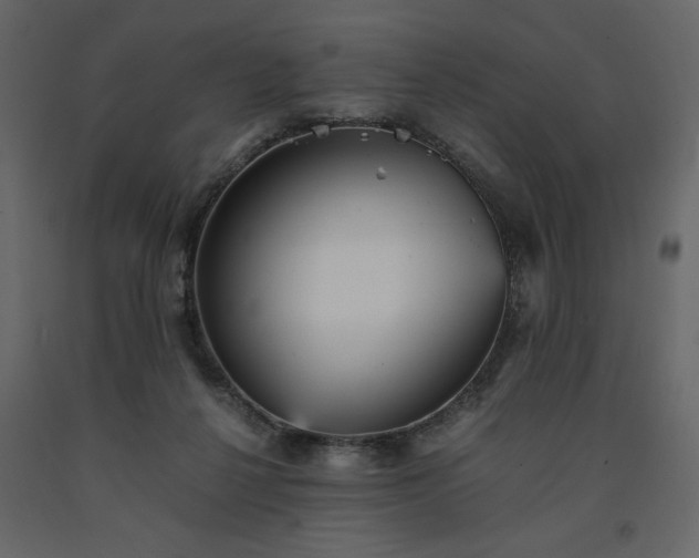 X0000091550264200708241801