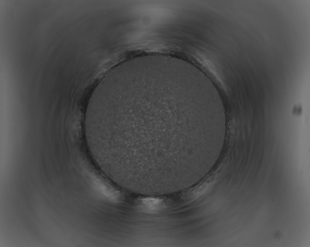 X0000091550265200708241801