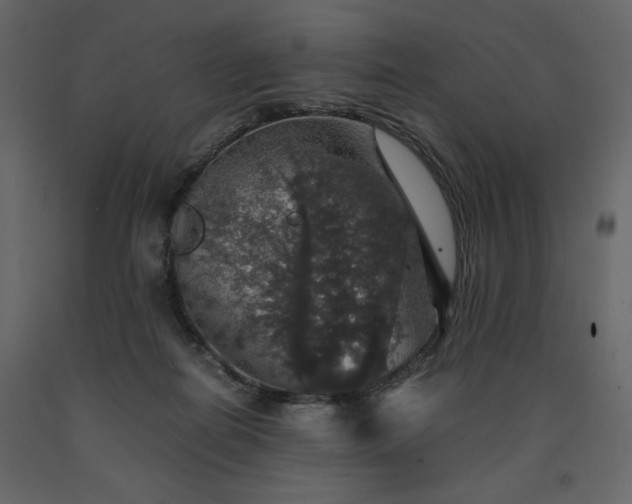 X0000091550266200708241801
