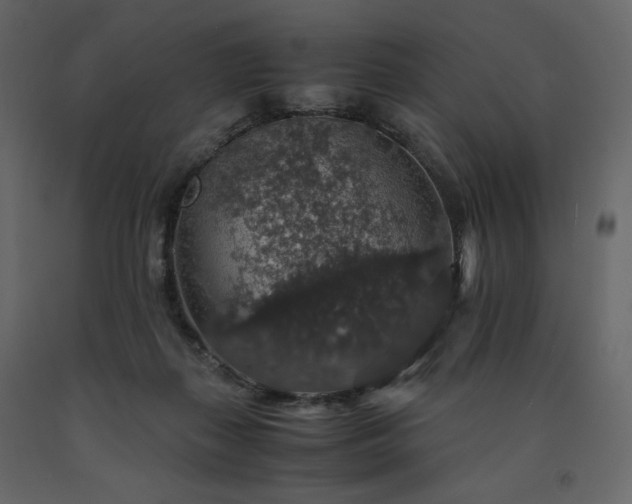 X0000091550267200708241801