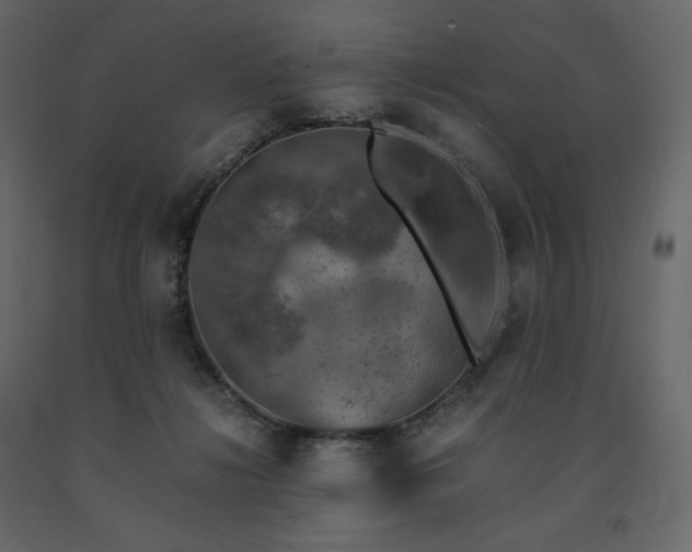 X0000091550268200708241801