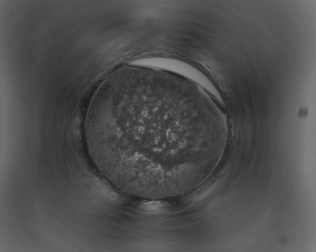 X0000091550269200708241801