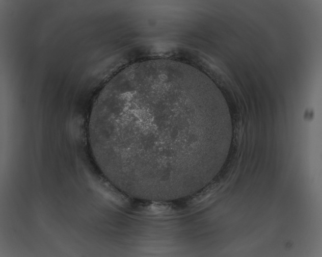 X0000091550270200708241801
