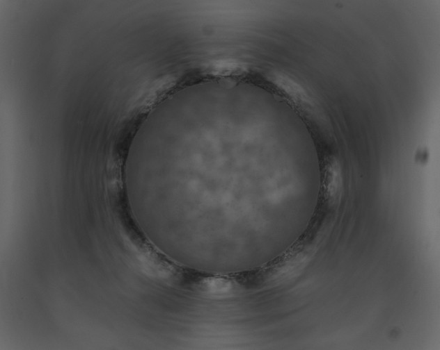 X0000091550272200708241801