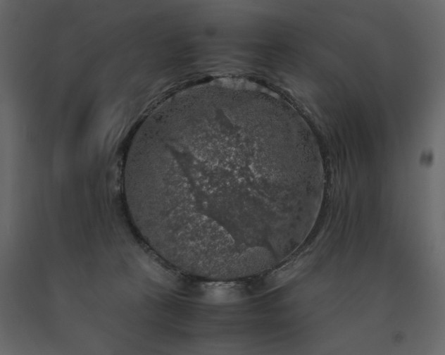 X0000091550273200708241801