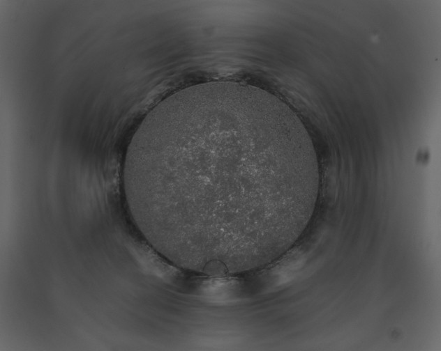 X0000091550274200708241801