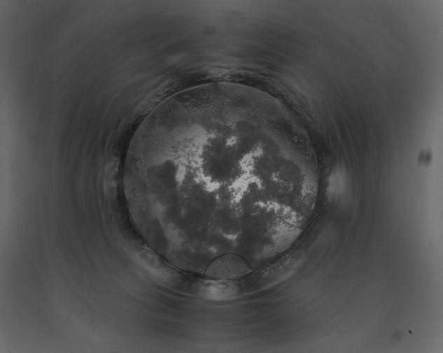X0000091550275200708241801