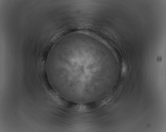 X0000091550276200708241801