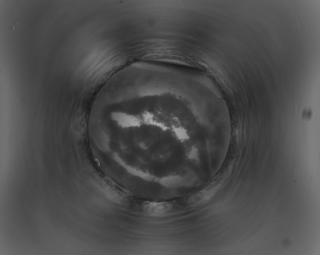 X0000091550277200708241801