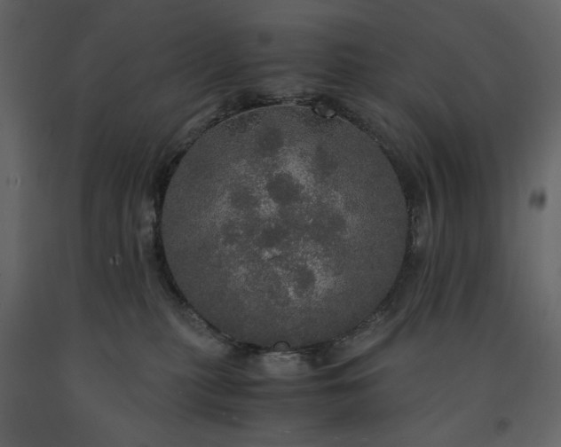 X0000091550279200708241801
