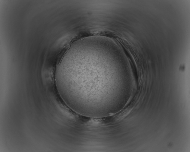 X0000091550280200708241801