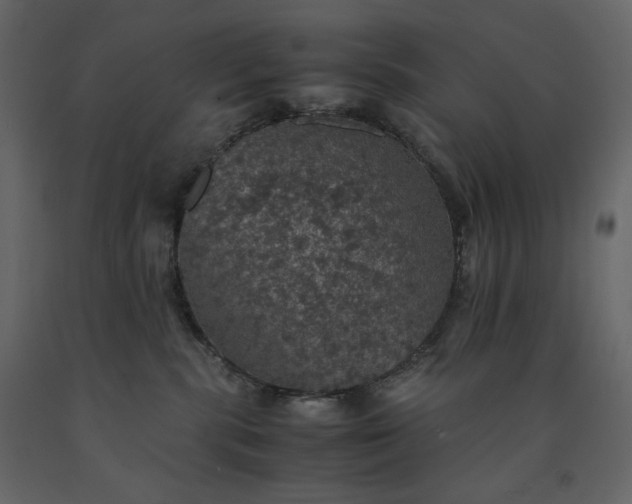 X0000091550283200708241801