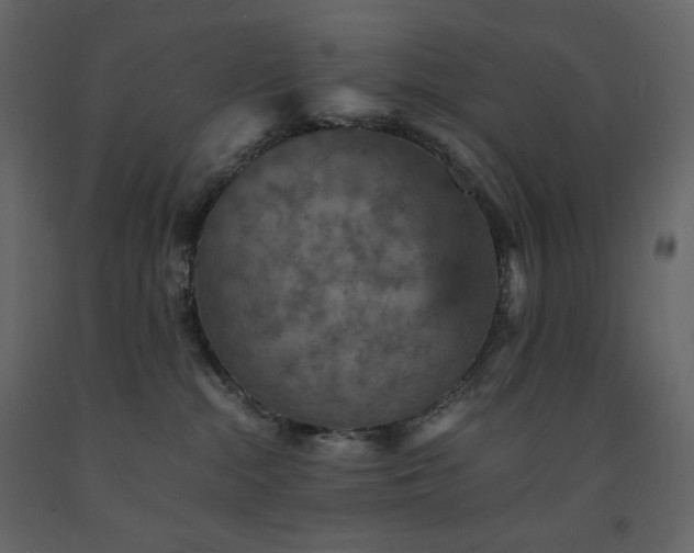 X0000091550284200708241801
