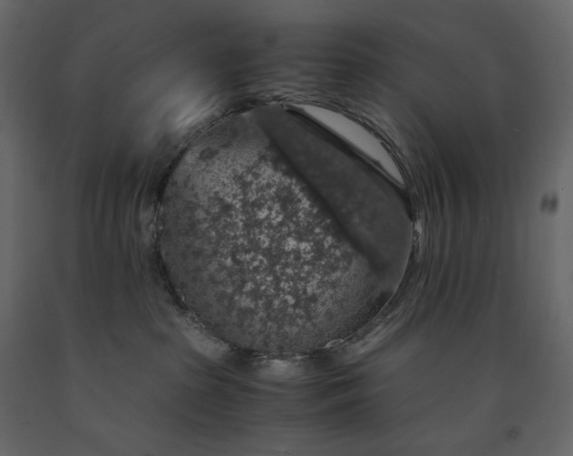 X0000091550285200708241801
