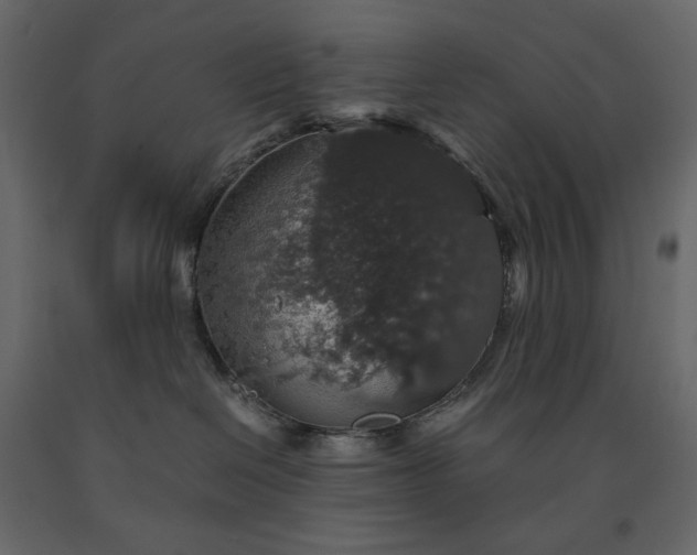 X0000091550286200708241801