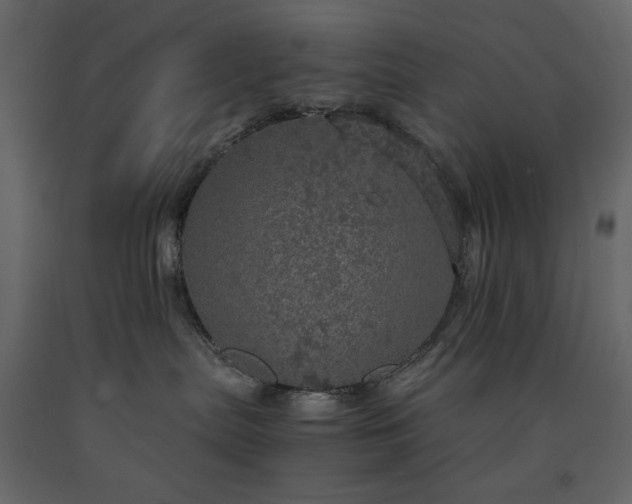 X0000091550287200708241801