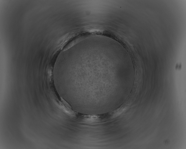 X0000091550288200708241802