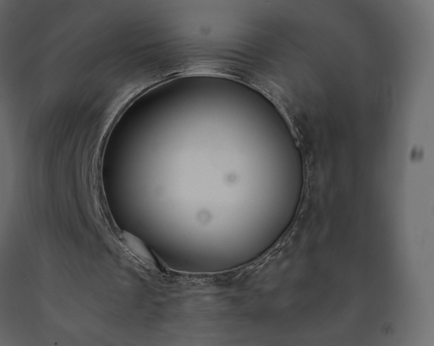 X0000091550289200708241801