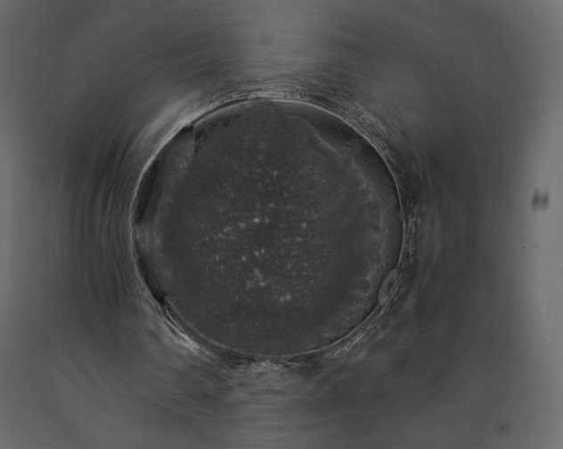 X0000091550290200708241801
