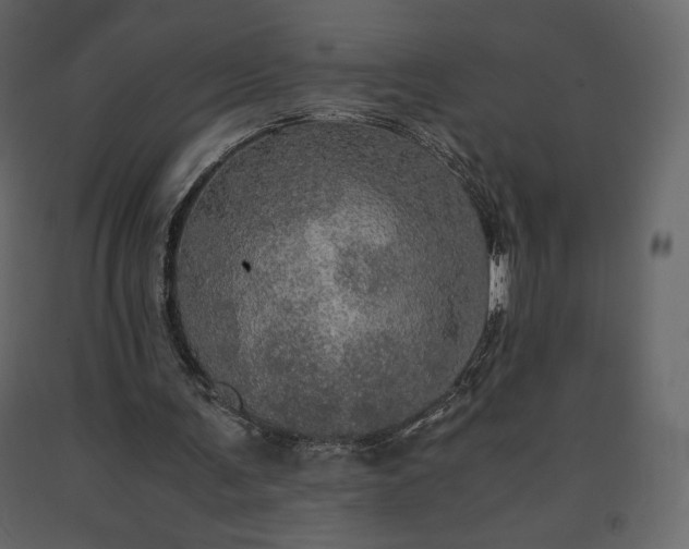 X0000091550291200708241801