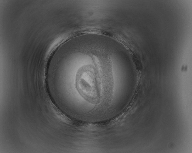 X0000091550293200708241801
