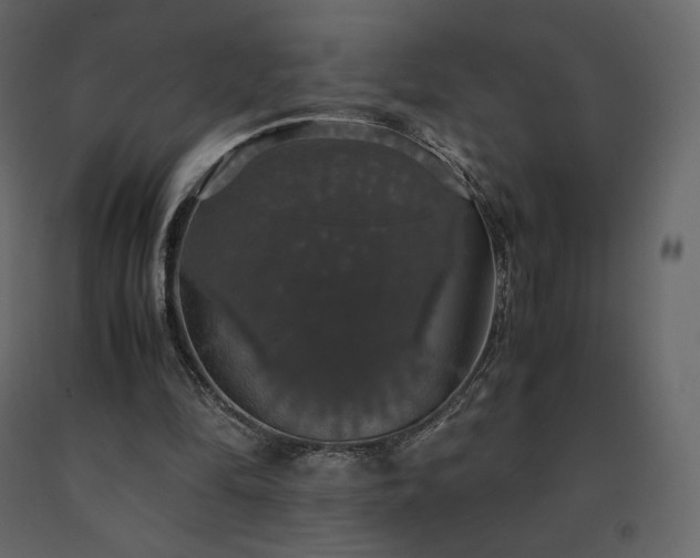 X0000091550294200708241801