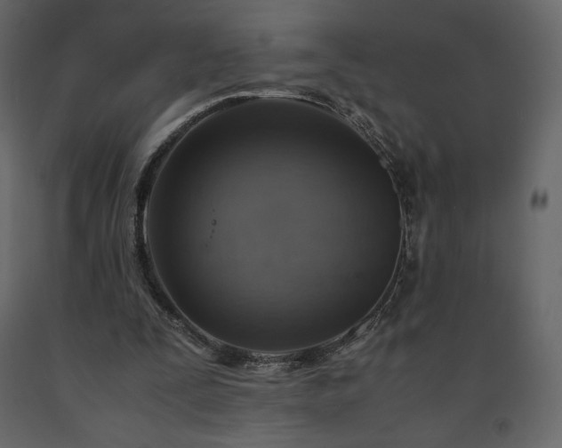 X0000091550295200708241801