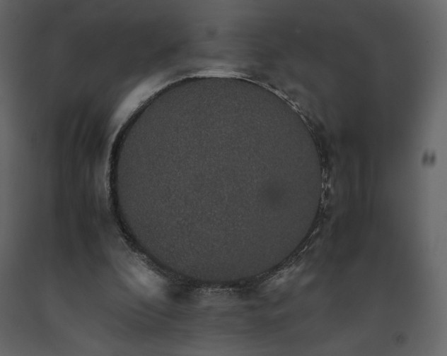 X0000091550296200708241801