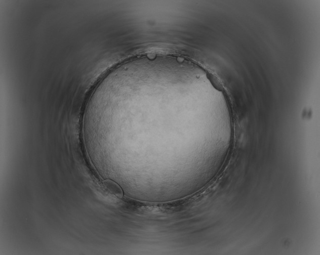 X0000091550297200708241801