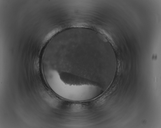 X0000091550298200708241801