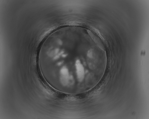 X0000091550299200708241801