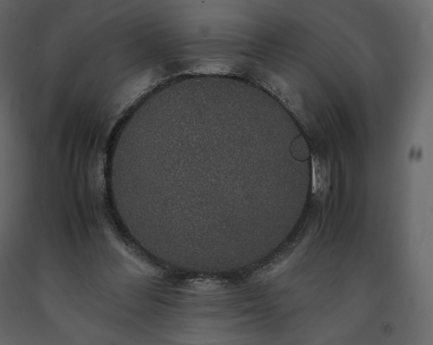 X0000091550300200708241801