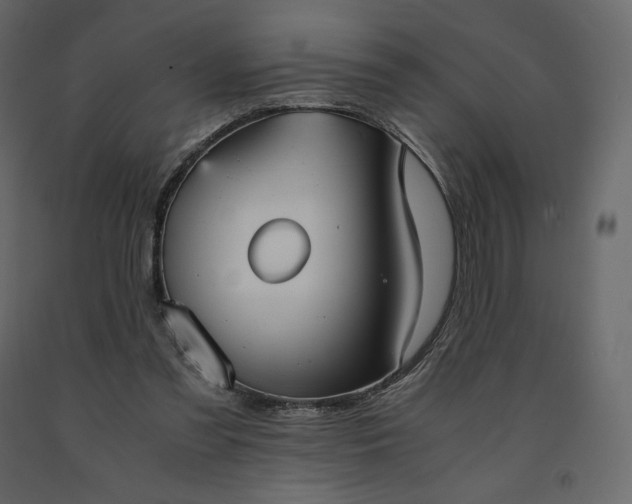 X0000091550301200708241801