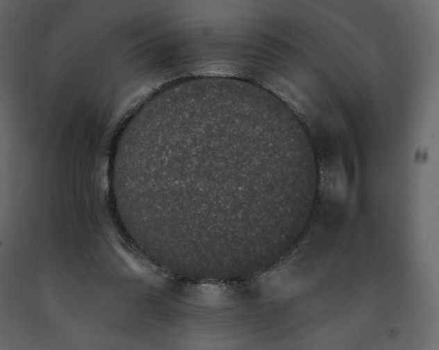 X0000091550302200708241801