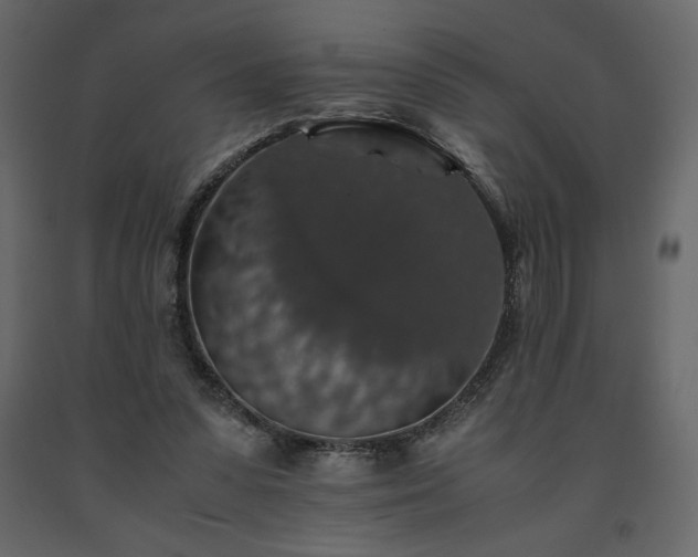 X0000091550303200708241801