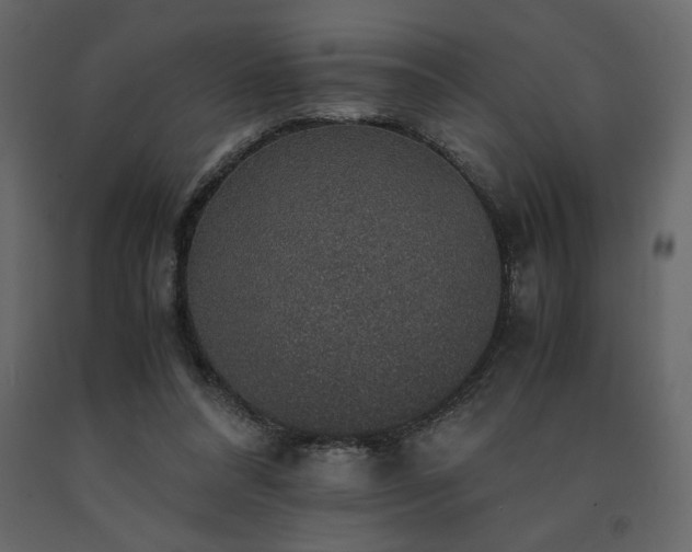 X0000091550304200708241801