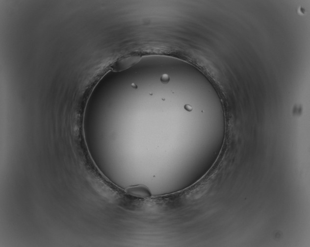 X0000091550305200708241801