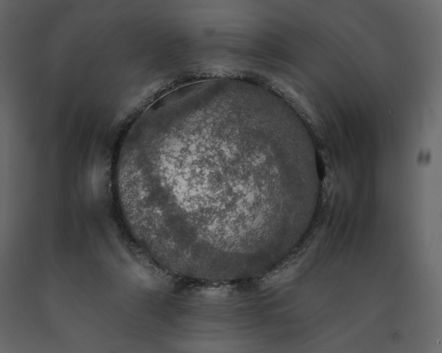 X0000091550306200708241801