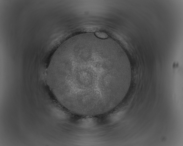 X0000091550307200708241801